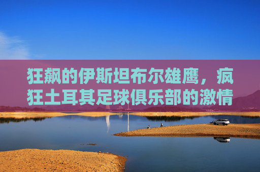 狂飙的伊斯坦布尔雄鹰，疯狂土耳其足球俱乐部的激情与传奇，伊斯坦布尔雄鹰，土耳其足球的狂飙激情与传奇