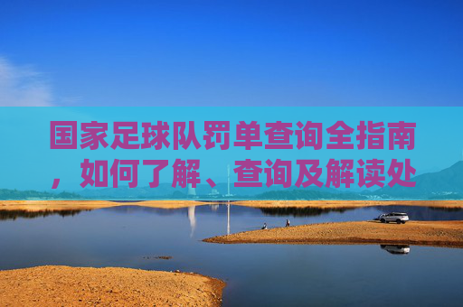 国家足球队罚单查询全指南，如何了解、查询及解读处罚信息，国家足球队罚单查询全指南