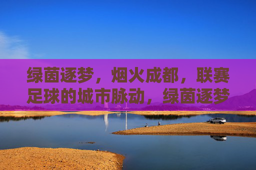 绿茵逐梦，烟火成都，联赛足球的城市脉动，绿茵逐梦，烟火成都，联赛足球的城市脉动