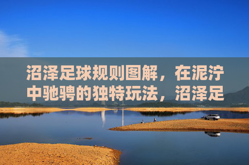 沼泽足球规则图解，在泥泞中驰骋的独特玩法，沼泽足球规则图解，泥泞驰骋的独特玩法