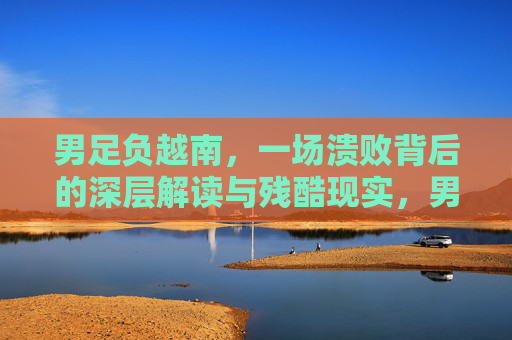 男足负越南，一场溃败背后的深层解读与残酷现实，男足负越南，溃败背后的深层解读与残酷现实