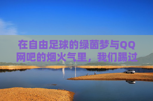 在自由足球的绿茵梦与QQ网吧的烟火气里，我们踢过整个青春，绿茵烟火，青春足印