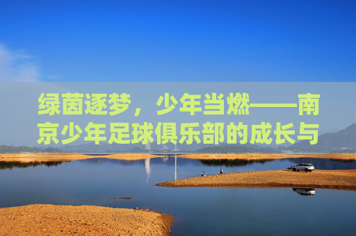 绿茵逐梦，少年当燃——南京少年足球俱乐部的成长与希望，绿茵逐梦，少年成长与希望