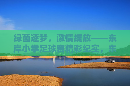 绿茵逐梦，激情绽放——东岸小学足球赛精彩纪实，东岸小学足球赛，绿茵逐梦，激情绽放