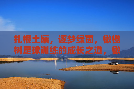扎根土壤，逐梦绿茵，橄榄树足球训练的成长之道，橄榄树足球训练，扎根土壤逐梦绿茵的成长之道