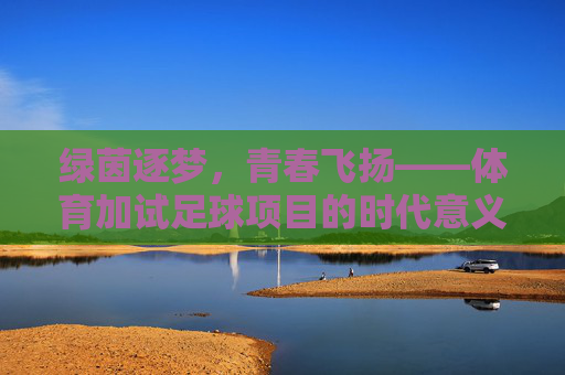 绿茵逐梦，青春飞扬——体育加试足球项目的时代意义与成长价值，绿茵逐梦，青春飞扬——体育加试足球项目的时代意义与成长价值