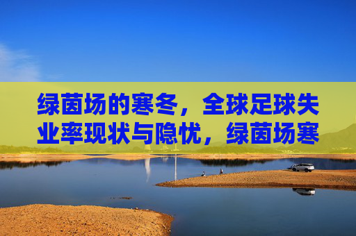绿茵场的寒冬，全球足球失业率现状与隐忧，绿茵场寒冬，全球足球失业率现状与隐忧