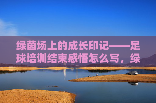 绿茵场上的成长印记——足球培训结束感悟怎么写，绿茵场上的成长印记，足球培训结束感悟