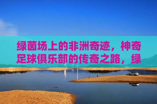 绿茵场上的非洲奇迹，神奇足球俱乐部的传奇之路，绿茵奇迹，非洲足球俱乐部的传奇之路