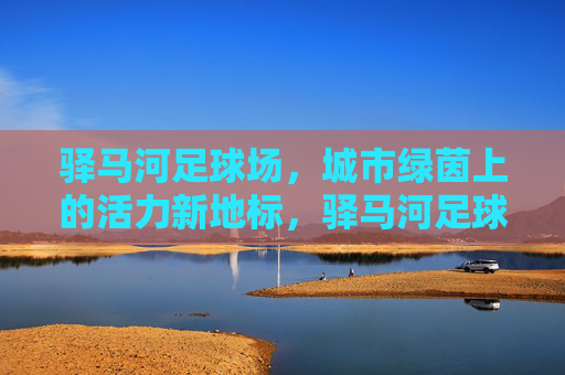 驿马河足球场，城市绿茵上的活力新地标，驿马河足球场，城市绿茵活力新地标