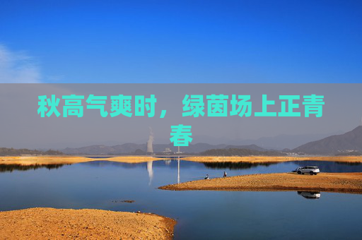 秋高气爽时，绿茵场上正青春