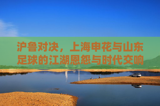 沪鲁对决，上海申花与山东足球的江湖恩怨与时代交响，沪鲁对决，江湖恩怨与时代交响