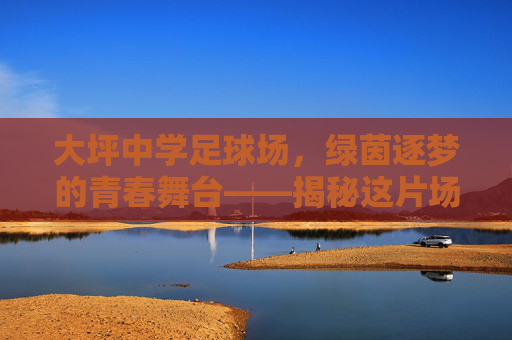 大坪中学足球场，绿茵逐梦的青春舞台——揭秘这片场地的面积与故事，大坪中学足球场，绿茵逐梦的青春舞台与面积故事