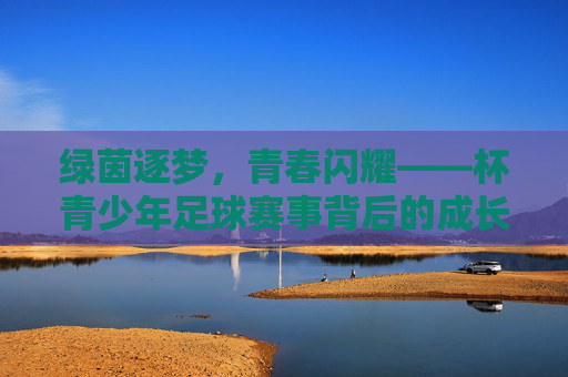 绿茵逐梦，青春闪耀——杯青少年足球赛事背后的成长与热爱，绿茵逐梦，青春闪耀，青少年足球赛事的成长与热爱