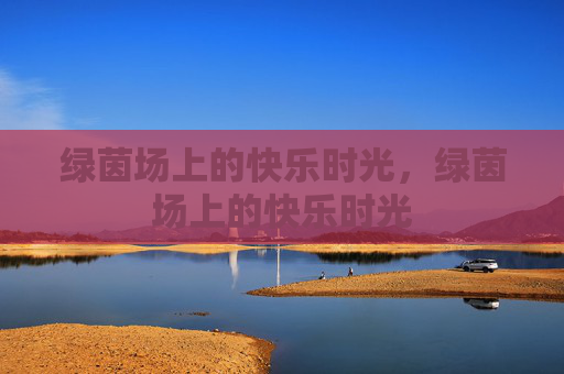 绿茵场上的快乐时光，绿茵场上的快乐时光