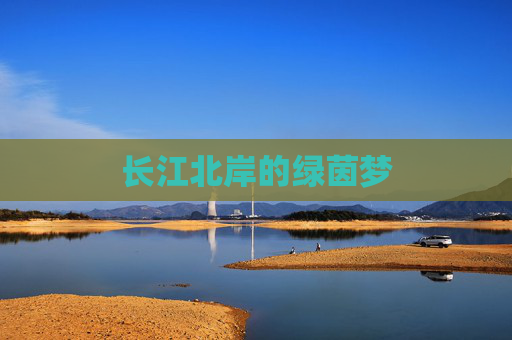 长江北岸的绿茵梦