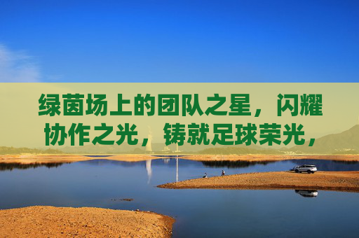 绿茵场上的团队之星，闪耀协作之光，铸就足球荣光，绿茵协作之星，铸就足球荣光