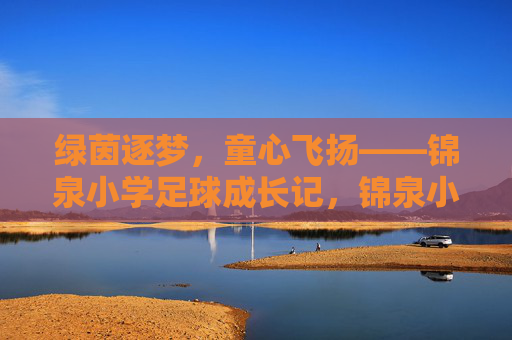 绿茵逐梦，童心飞扬——锦泉小学足球成长记，锦泉小学足球，童心逐梦绿茵飞扬