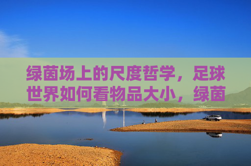 绿茵场上的尺度哲学，足球世界如何看物品大小，绿茵场上的尺度哲学，足球世界的大小观