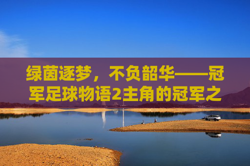 绿茵逐梦，不负韶华——冠军足球物语2主角的冠军之路，绿茵逐梦，不负韶华，冠军之路
