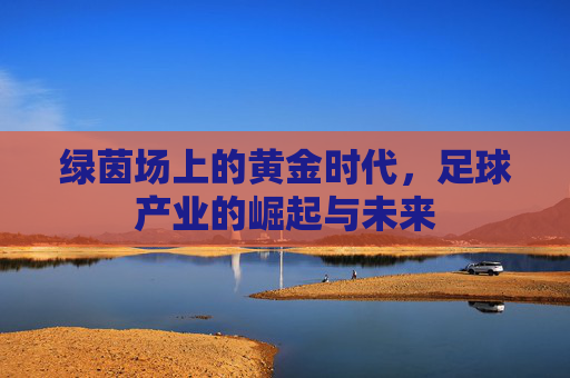 绿茵场上的黄金时代，足球产业的崛起与未来