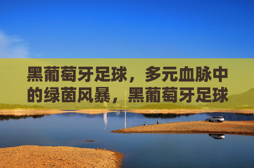 黑葡萄牙足球，多元血脉中的绿茵风暴，黑葡萄牙足球，多元血脉绿茵风暴