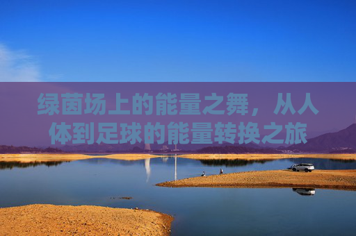 绿茵场上的能量之舞，从人体到足球的能量转换之旅