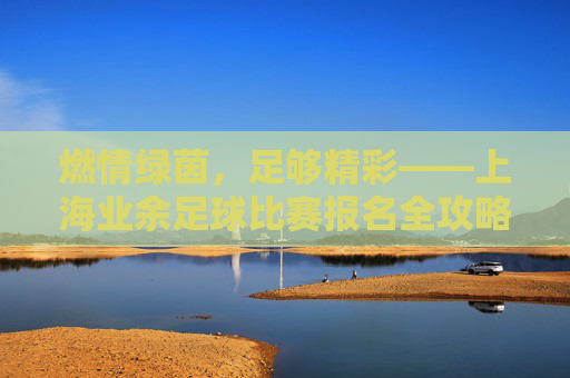 燃情绿茵，足够精彩——上海业余足球比赛报名全攻略，燃情绿茵，上海业余足球比赛报名全攻略