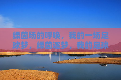 绿茵场的呼唤，我的一场足球梦，绿茵逐梦，我的足球梦