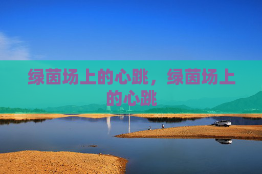 绿茵场上的心跳，绿茵场上的心跳