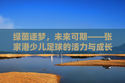 绿茵逐梦，未来可期——张家港少儿足球的活力与成长，张家港少儿足球，逐梦绿茵，活力成长