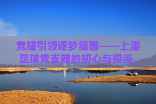 党建引领逐梦绿茵——上港足球党支部的初心与担当，党建引领逐梦绿茵，上港足球党支部的初心与担当