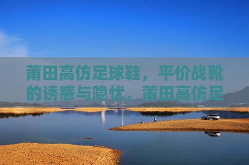 莆田高仿足球鞋，平价战靴的诱惑与隐忧，莆田高仿足球鞋，平价战靴的诱惑与隐忧