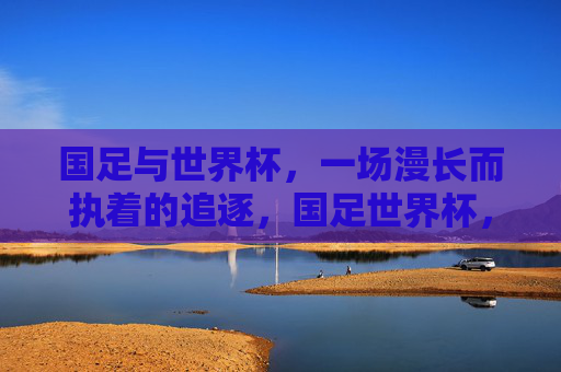 国足与世界杯，一场漫长而执着的追逐，国足世界杯，一场漫长而执着的追逐