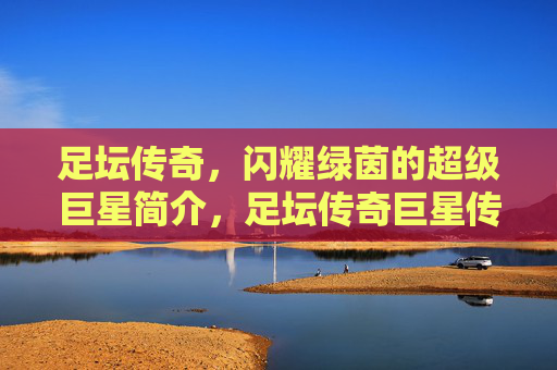 足坛传奇，闪耀绿茵的超级巨星简介，足坛传奇巨星传