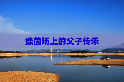 绿茵场上的父子传承