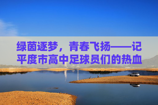 绿茵逐梦，青春飞扬——记平度市高中足球员们的热血与坚守，绿茵逐梦，青春飞扬——平度高中球员热血与坚守
