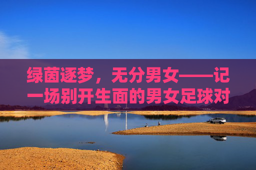 绿茵逐梦，无分男女——记一场别开生面的男女足球对抗赛，绿茵逐梦无分男女——男女对抗赛