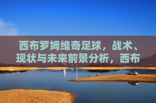 西布罗姆维奇足球，战术、现状与未来前景分析，西布罗姆维奇，战术、现状与未来前景分析