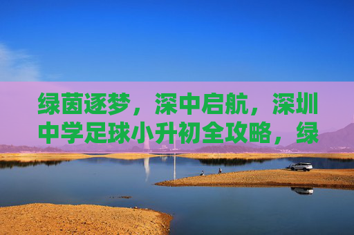 绿茵逐梦，深中启航，深圳中学足球小升初全攻略，绿茵逐梦深中启航，深圳中学足球小升初全攻略