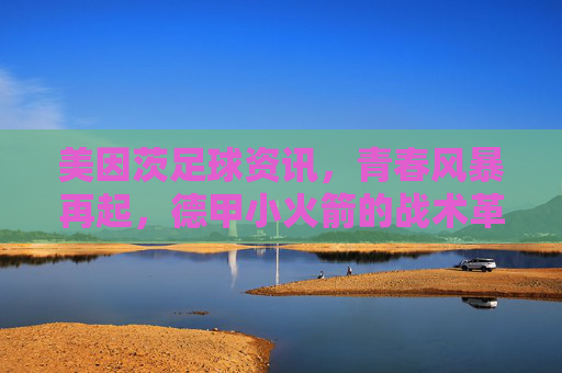 美因茨足球资讯，青春风暴再起，德甲小火箭的战术革新与赛季展望，美因茨青春风暴再起，德甲小火箭的战术革新与赛季展望
