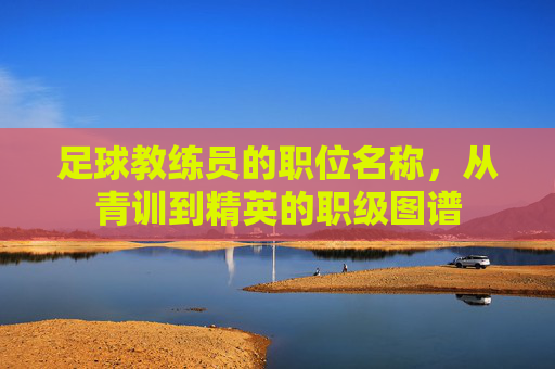 足球教练员的职位名称，从青训到精英的职级图谱