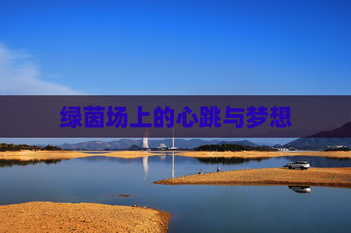 绿茵场上的心跳与梦想