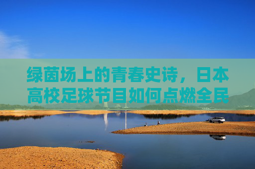 绿茵场上的青春史诗，日本高校足球节目如何点燃全民热血？日本高校足球，绿茵场上的全民热血史诗