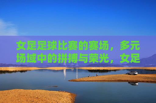 女足足球比赛的赛场，多元场域中的拼搏与荣光，女足赛场，多元场域的拼搏与荣光