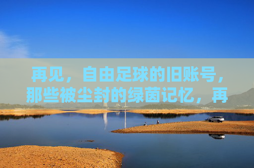 再见，自由足球的旧账号，那些被尘封的绿茵记忆，再见，自由足球旧账号，尘封绿茵记忆