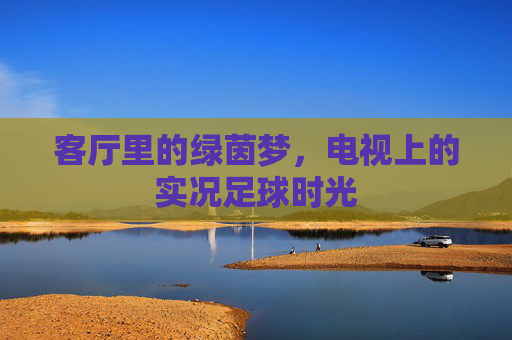 客厅里的绿茵梦，电视上的实况足球时光