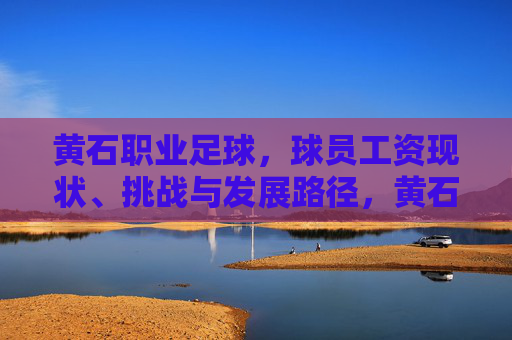 黄石职业足球，球员工资现状、挑战与发展路径，黄石职业足球球员工资，现状、挑战与发展路径探析