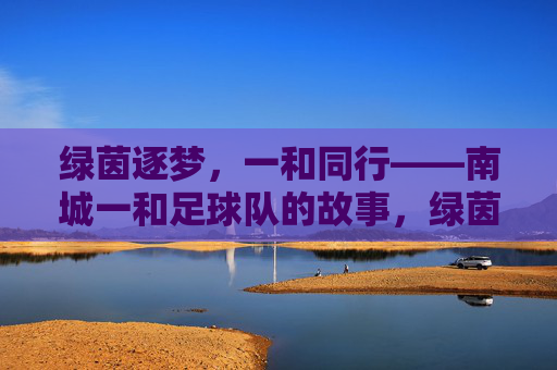绿茵逐梦，一和同行——南城一和足球队的故事，绿茵逐梦，一和同行
