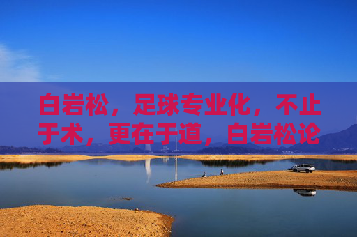 白岩松，足球专业化，不止于术，更在于道，白岩松论足球专业化，不止于术，更在于道